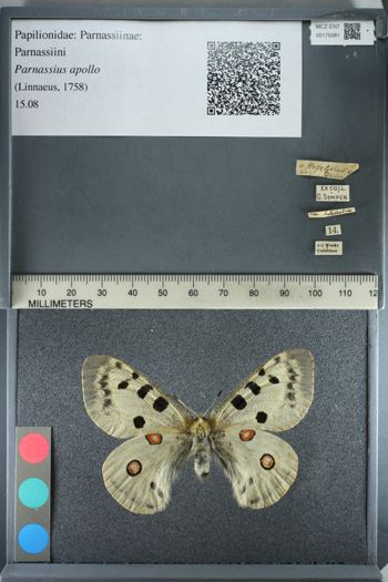 Media type: image;   Entomology 175081